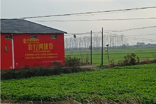  临海如何防止墙体广告褪色呢？