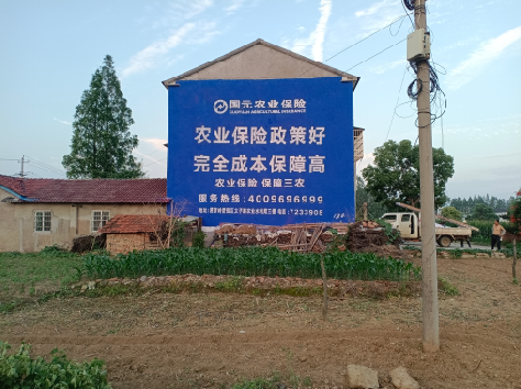  临海墙体广告为何受追捧？