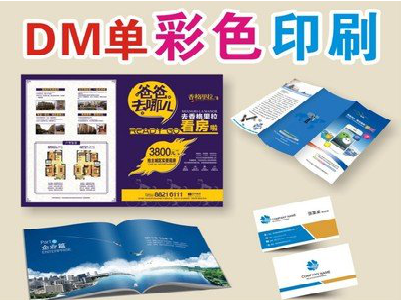  临海单页印刷，色彩搭配简单。